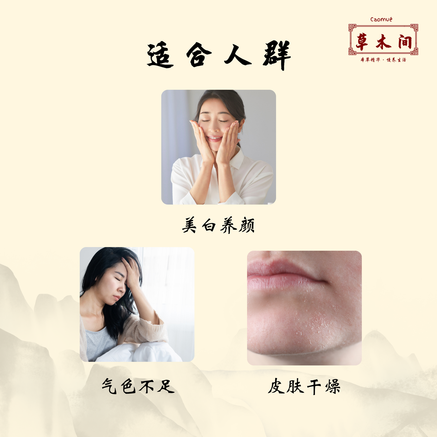 杏薏七白粉 250g